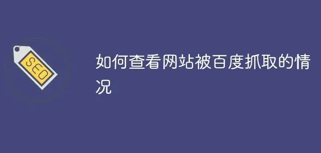 蜘蛛抓取頁面沒有記錄痕跡怎么回事？