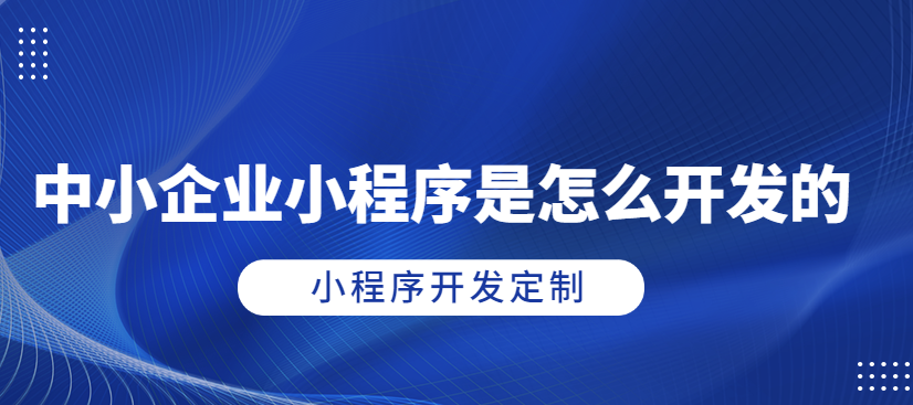 指尖上的商機(jī)！武榮CMS企業(yè)小程序開發(fā)，讓您的業(yè)務(wù)騰飛！